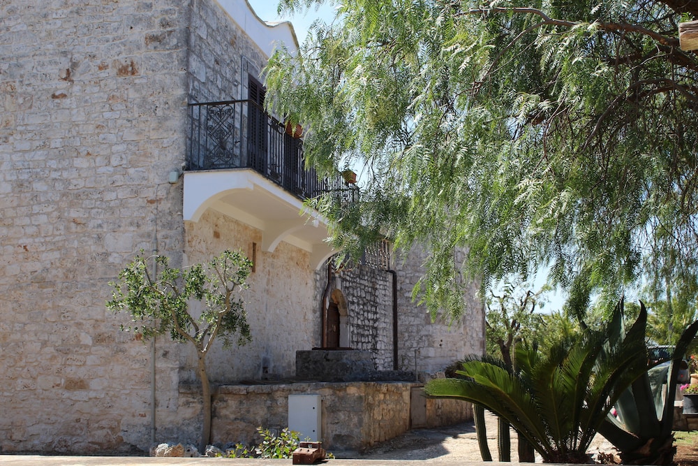 Photo 27