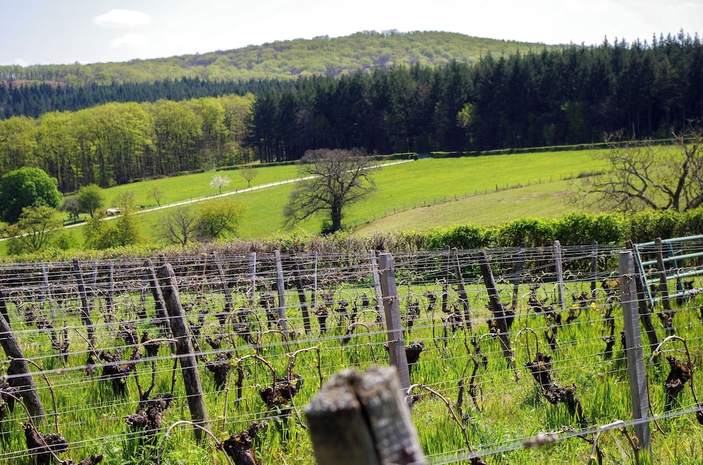 Domaine Joseph Lafarge