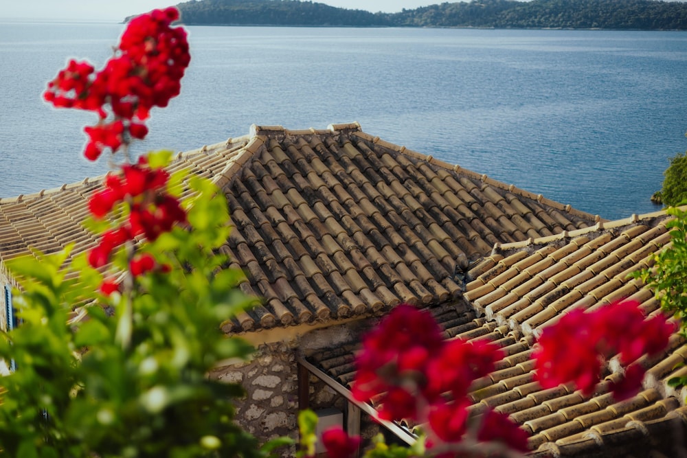 Seamansion Lefkada