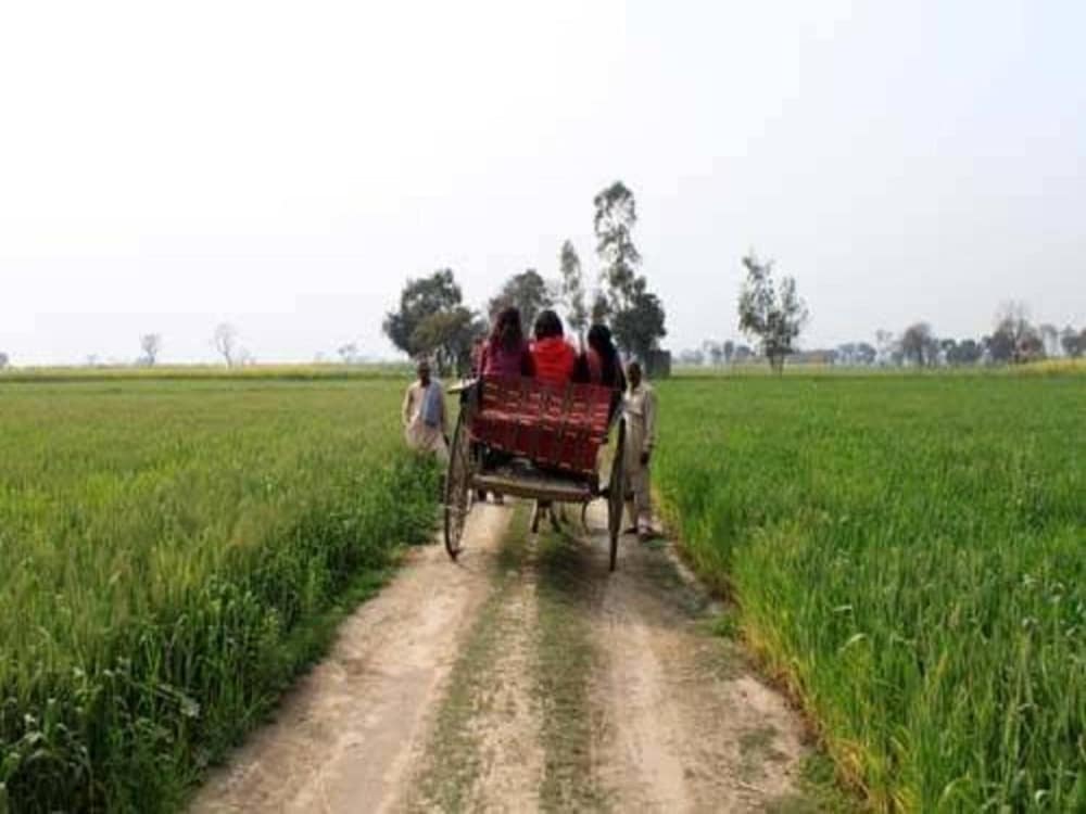 Punjabiyat near Amritsar
