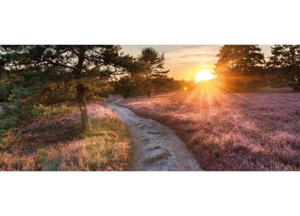 Pets Welcome, Veluwe Farmhouses for All