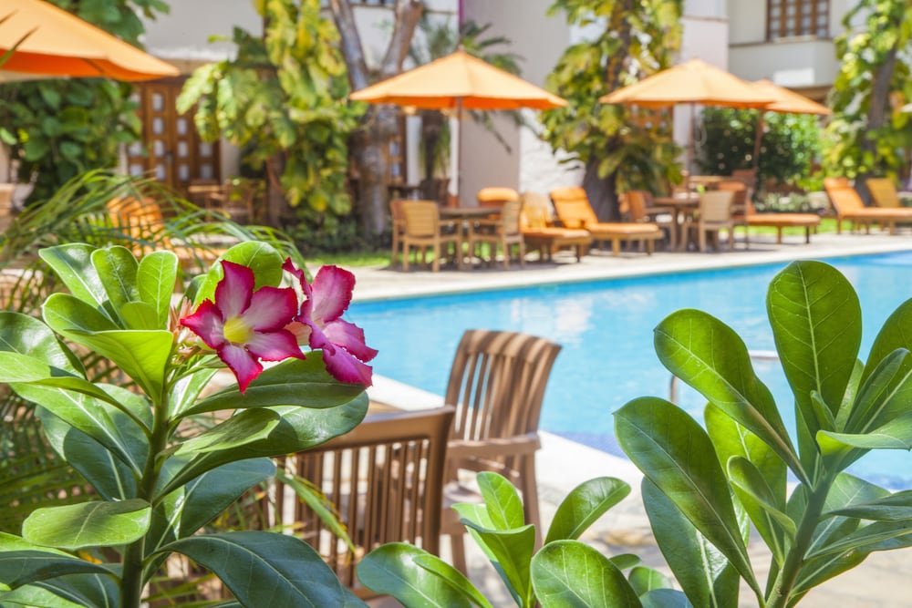 Hotel Villa Blanca Huatulco - Property Image 6