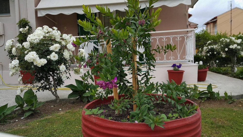 Vicky's Guesthouse