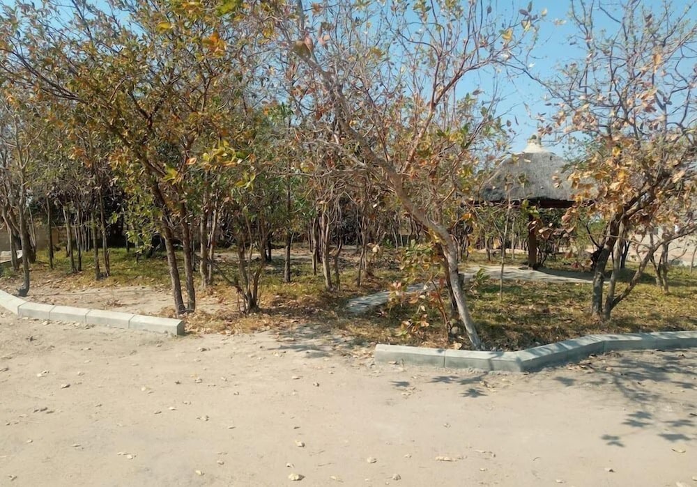 Little Lodge view 3
