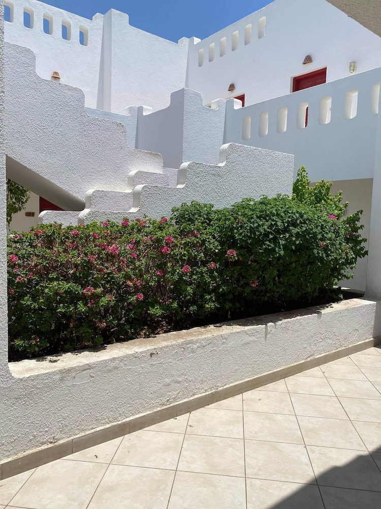 Stațiunea Delta Sharm Egipt view 5