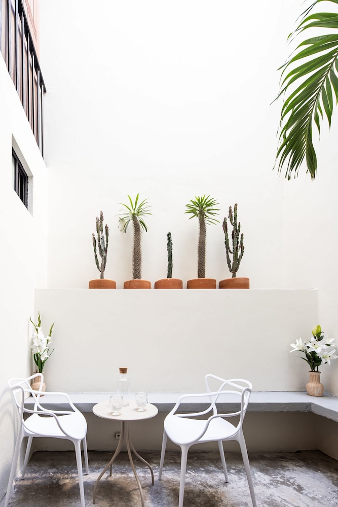 Casa Lumos - Superior Suite in Centro Historico