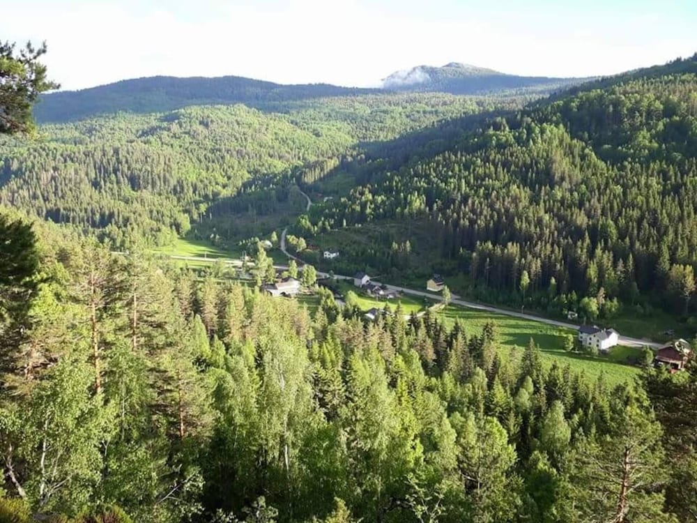 Impeccable 4-bed House in Drangedal