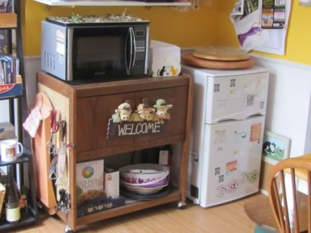 The Ginger Cat Bed & Breakfast