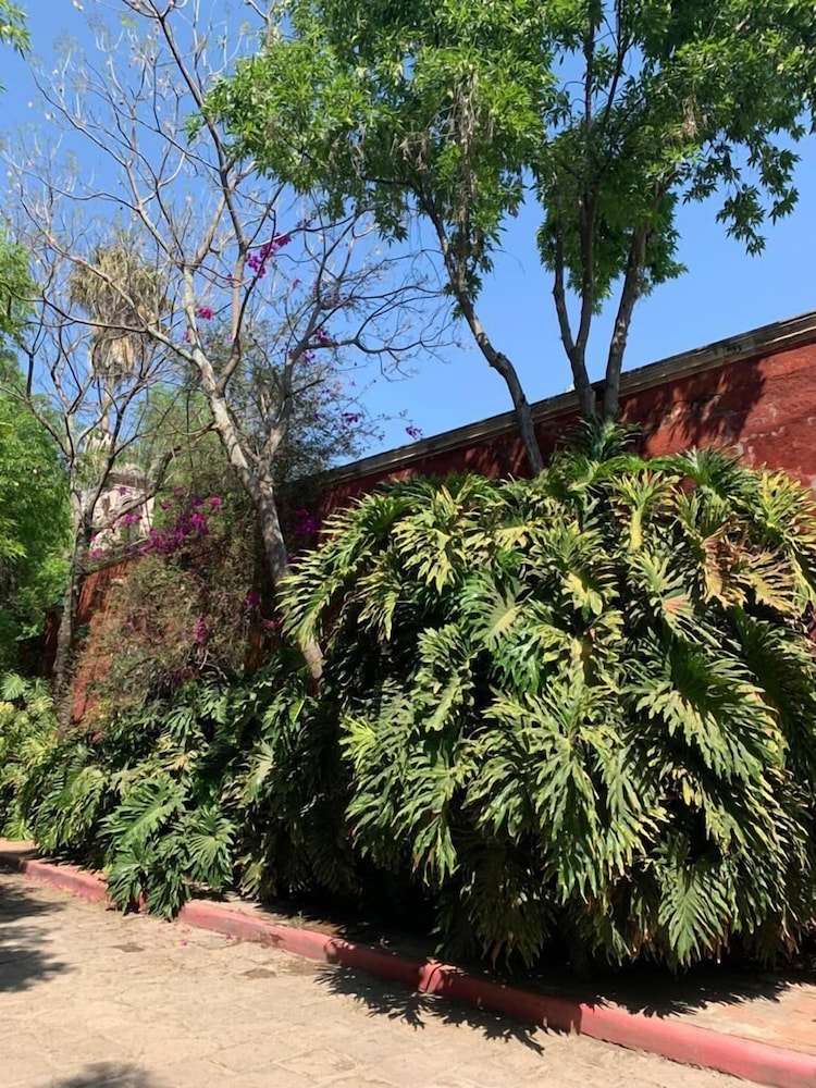 Hacienda Tzintzimeo - Property Image 10