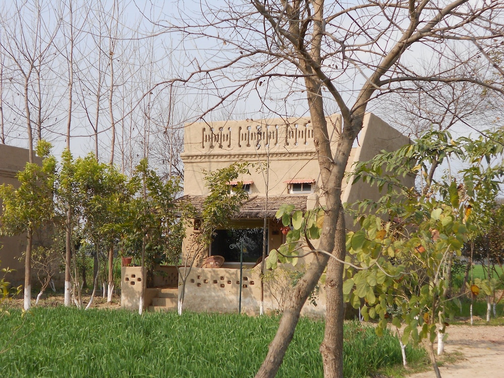 Punjab village farm near Amritsar