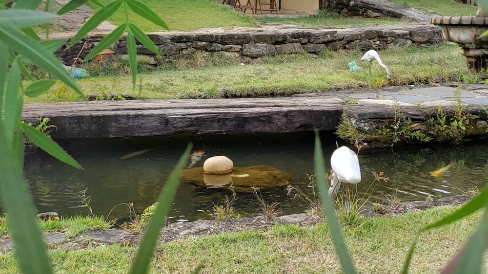 Photo 48