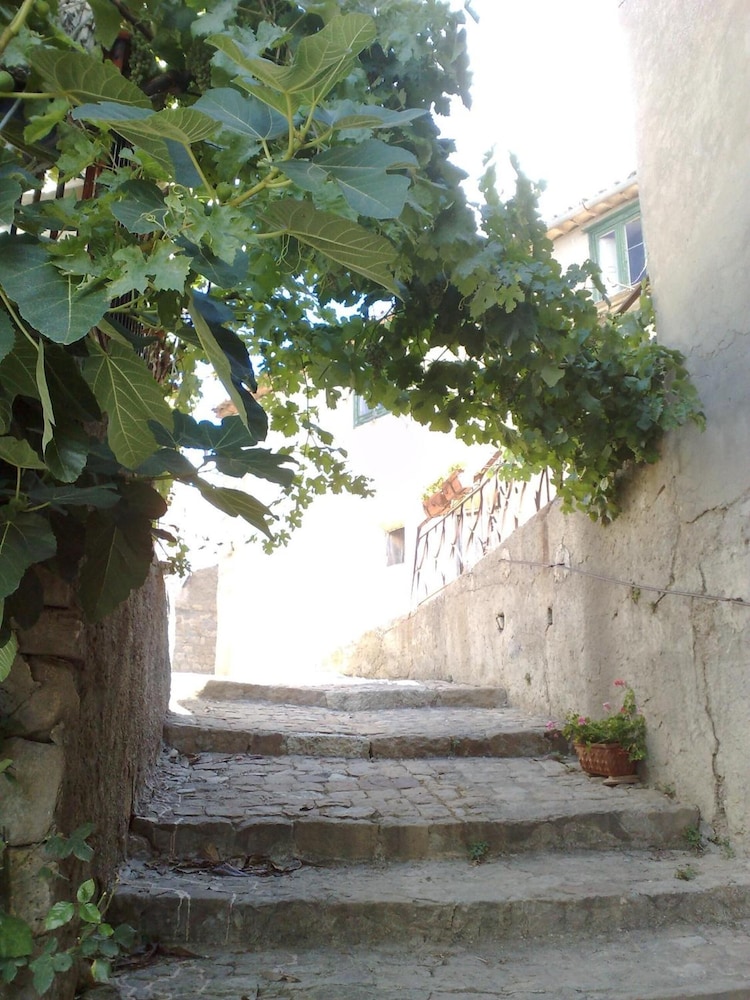 Photo 44