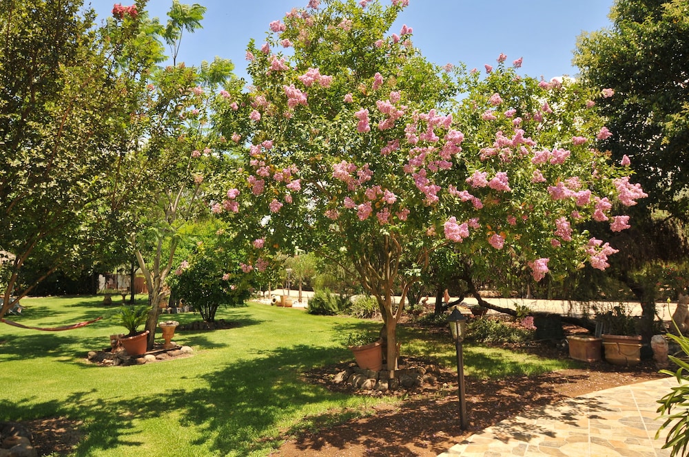 Kidmat Hagalil