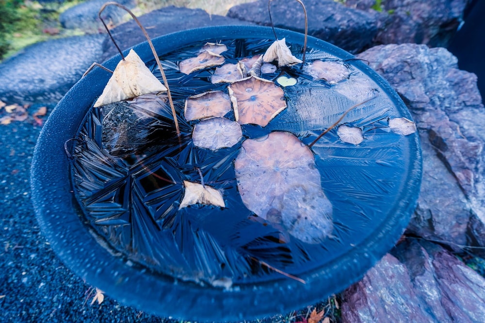 Koyasan Syukubo Ekoin