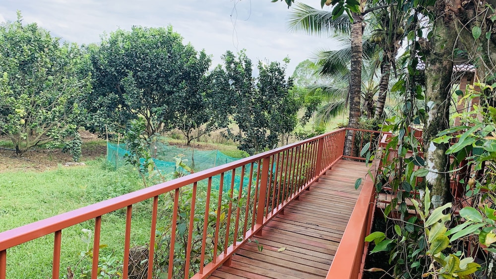 Gibbon Singing Homestay