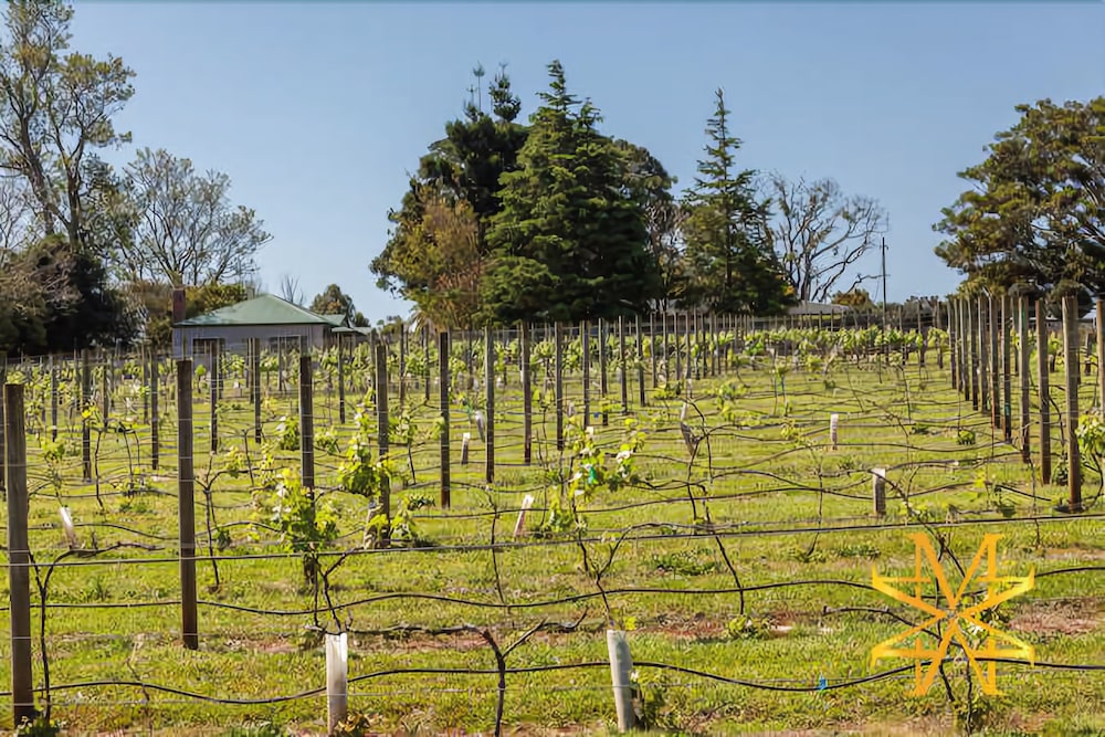 Mason Wines