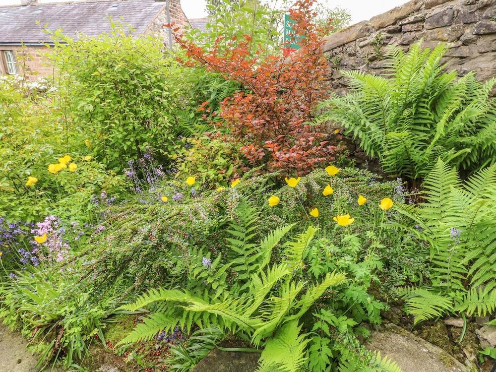 Holly Cottage