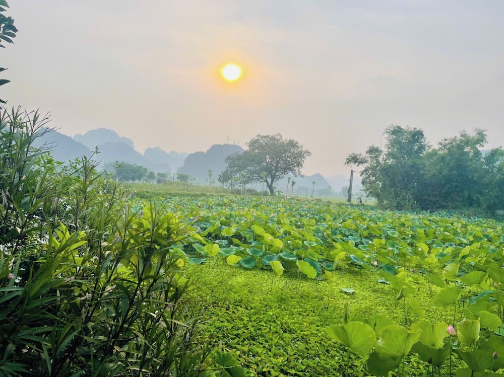 Tam Coc Holiday Retreat
