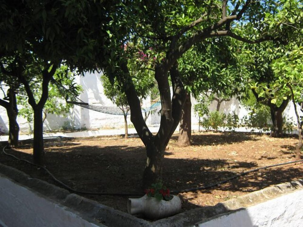 Masseria Rienzo