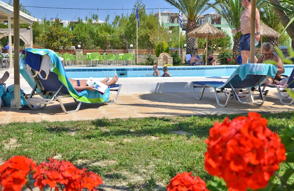 Sunny Garden