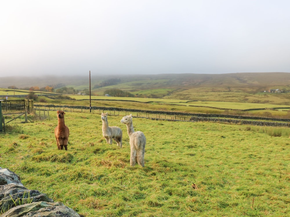 The Byre