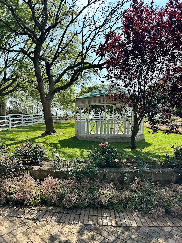 Rose Cottage, Elgin Grabouw