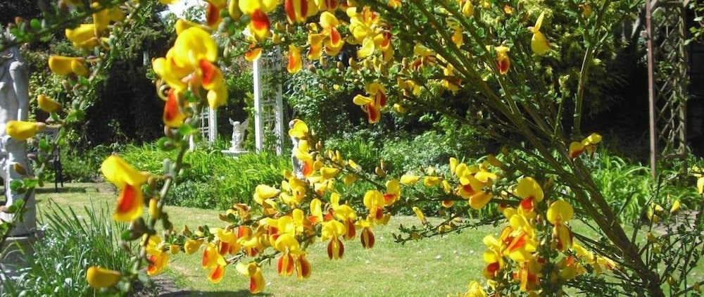 Cherry Garden BnB