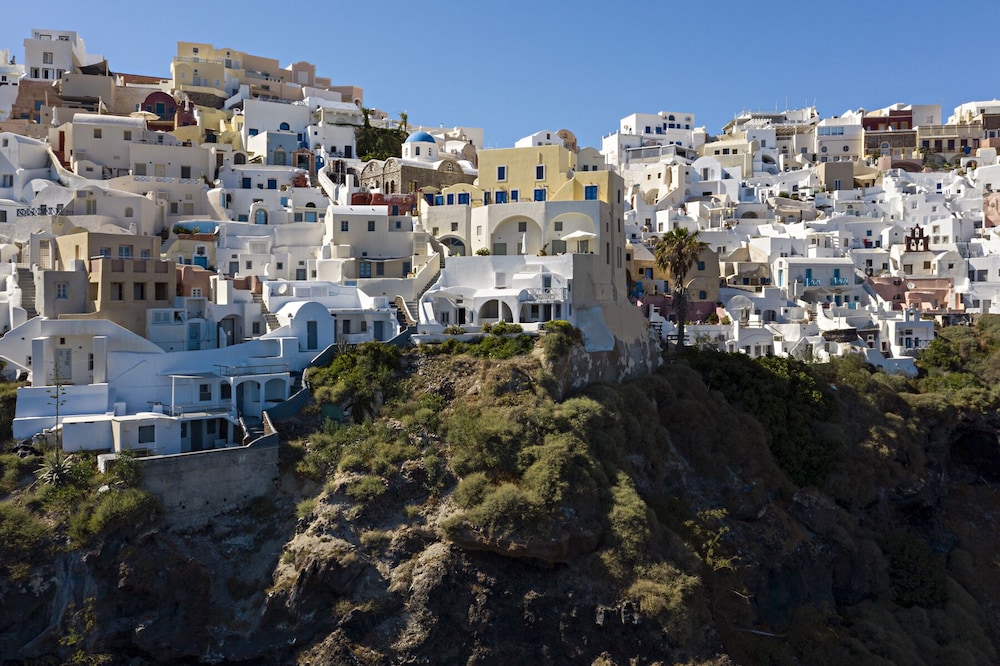 Helianthus Suites