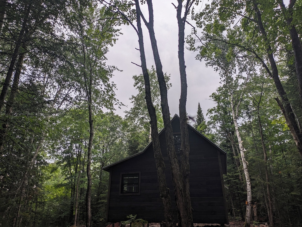 Lièvre Rouge- Refuge en forêt