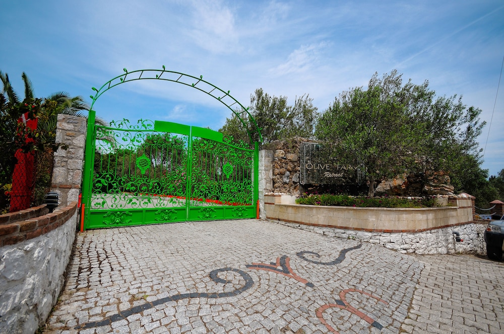 Olive Farm Of Datca