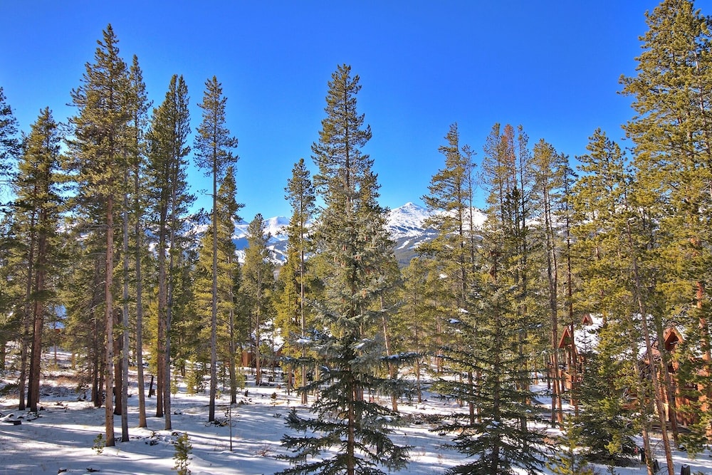 Evergreen Lodge