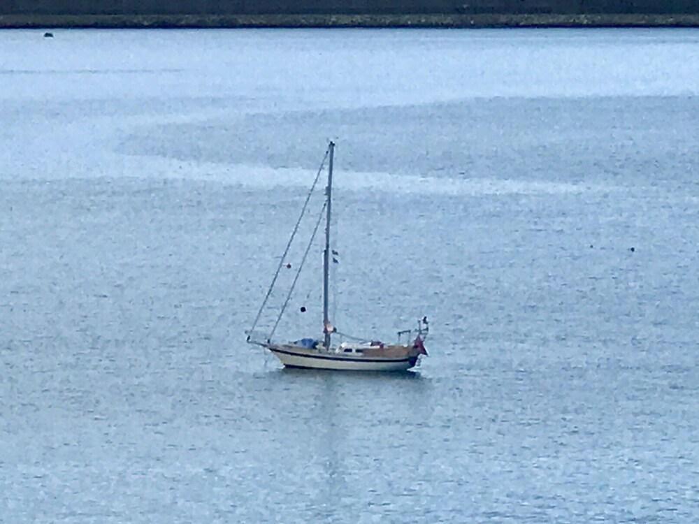 The Ferryboat