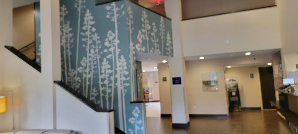 Birmingham Vacations - Sleep Inn Bessemer Helena - Property Image 2