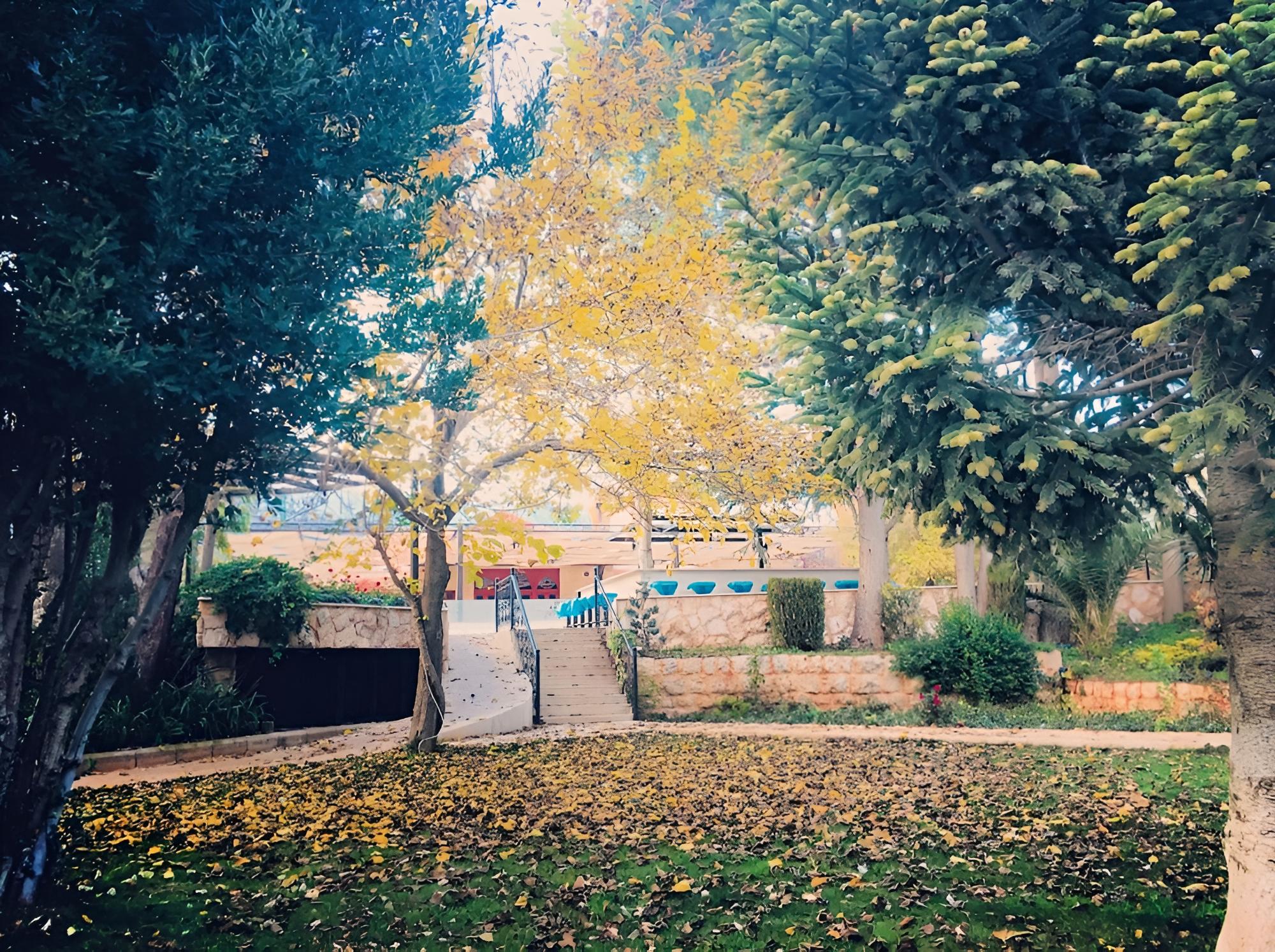 West Bekaa Country Club