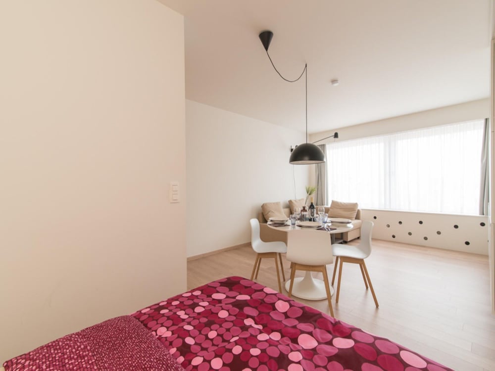 Studio Near Belgian Coast With Sea View