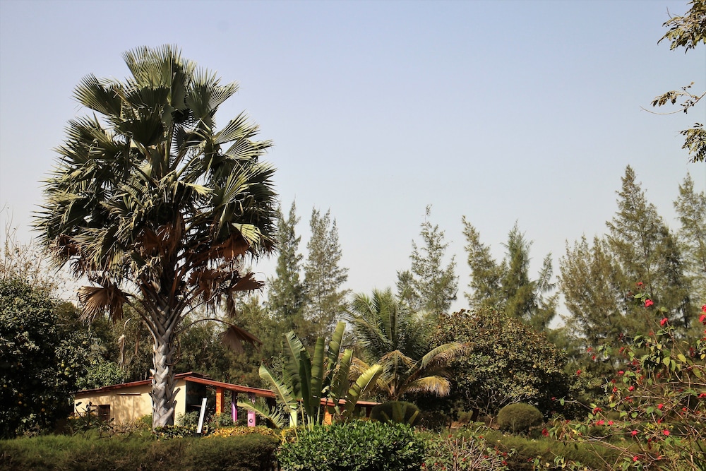 Photo 42