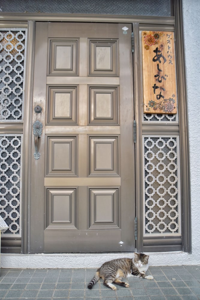Guest House Asibina - Hostel