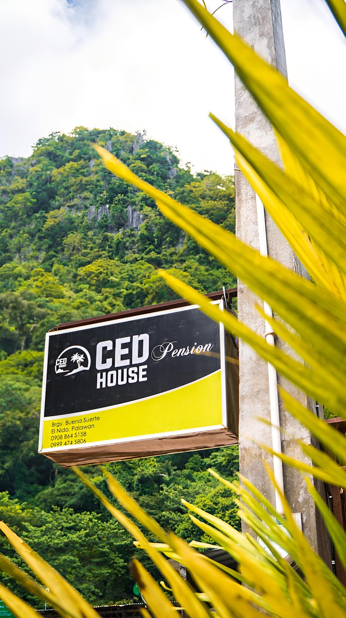 CED Pension