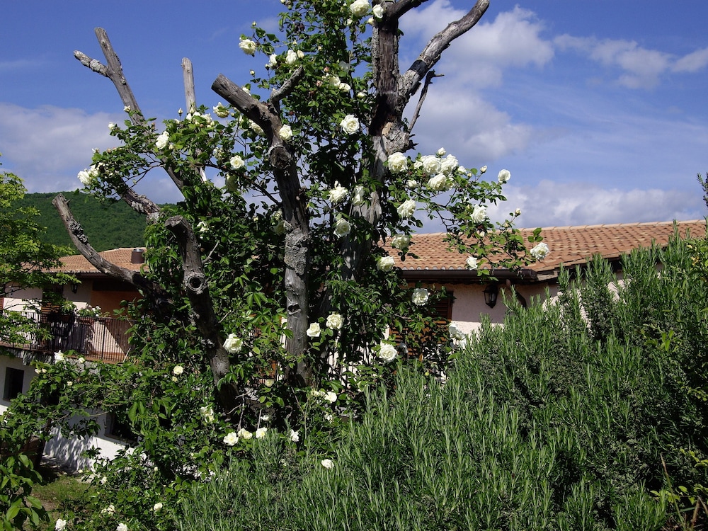 Country House Pro Vobis view 2