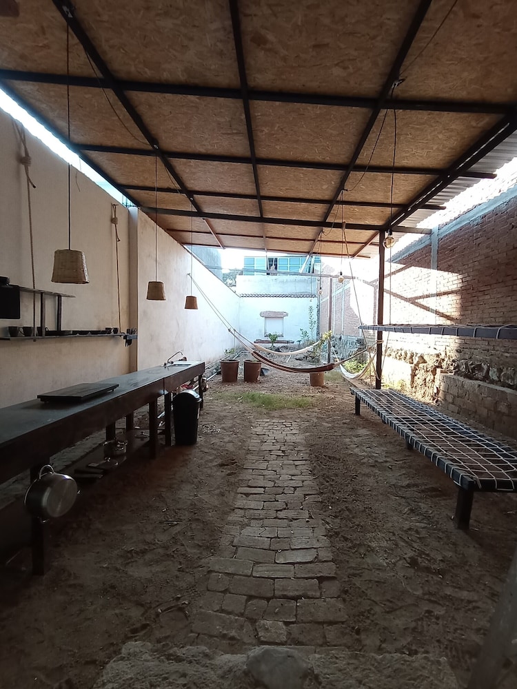 Iguana Co-living
