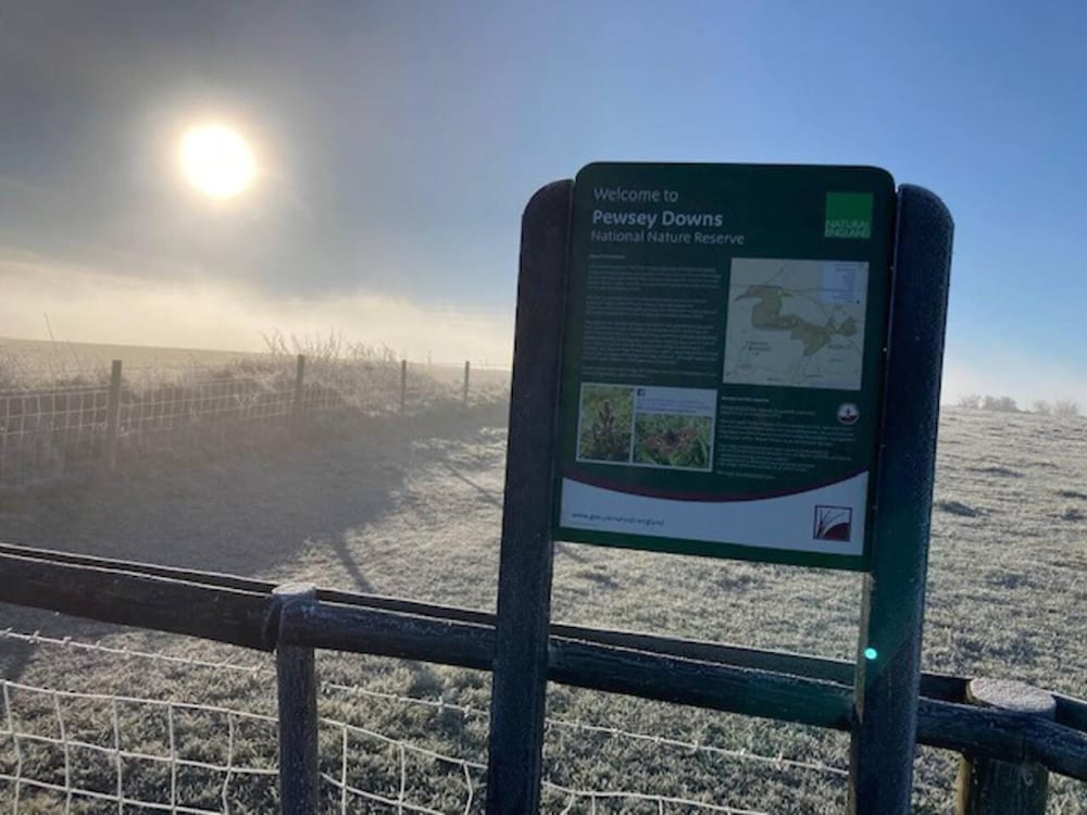 Marlborough Vacations - Perfect Cottage Hideaway in the Divine Pewsey Vale - Property Image 14