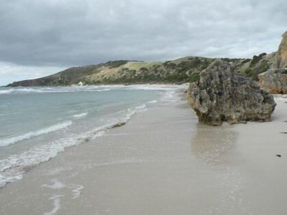 Waves and Wildlife