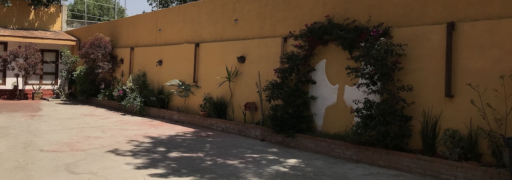San Angel, photo 24