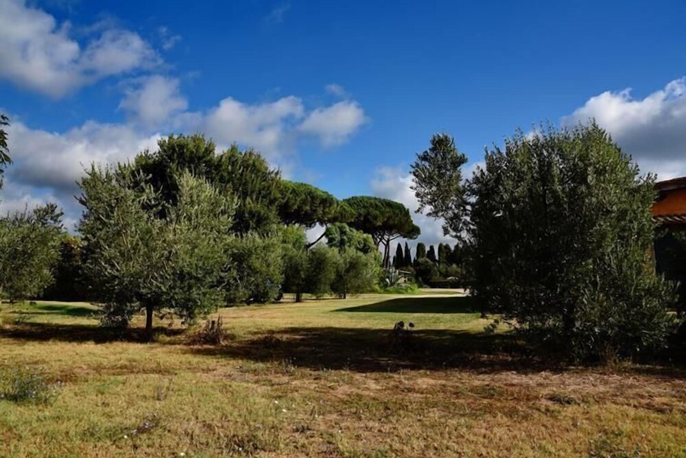 Photo 51