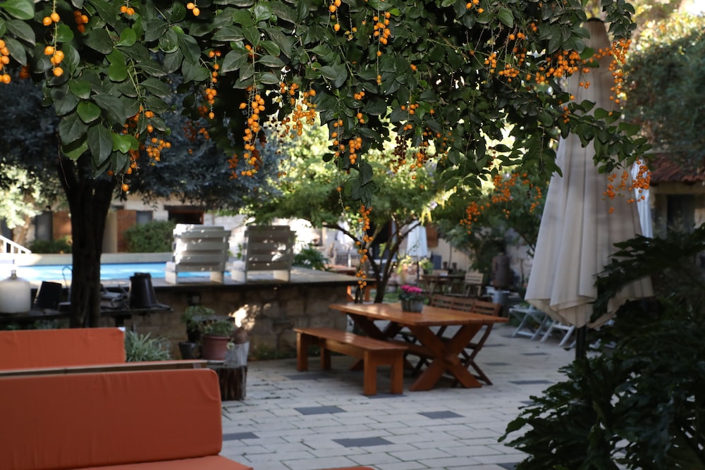 Shulamit Yard