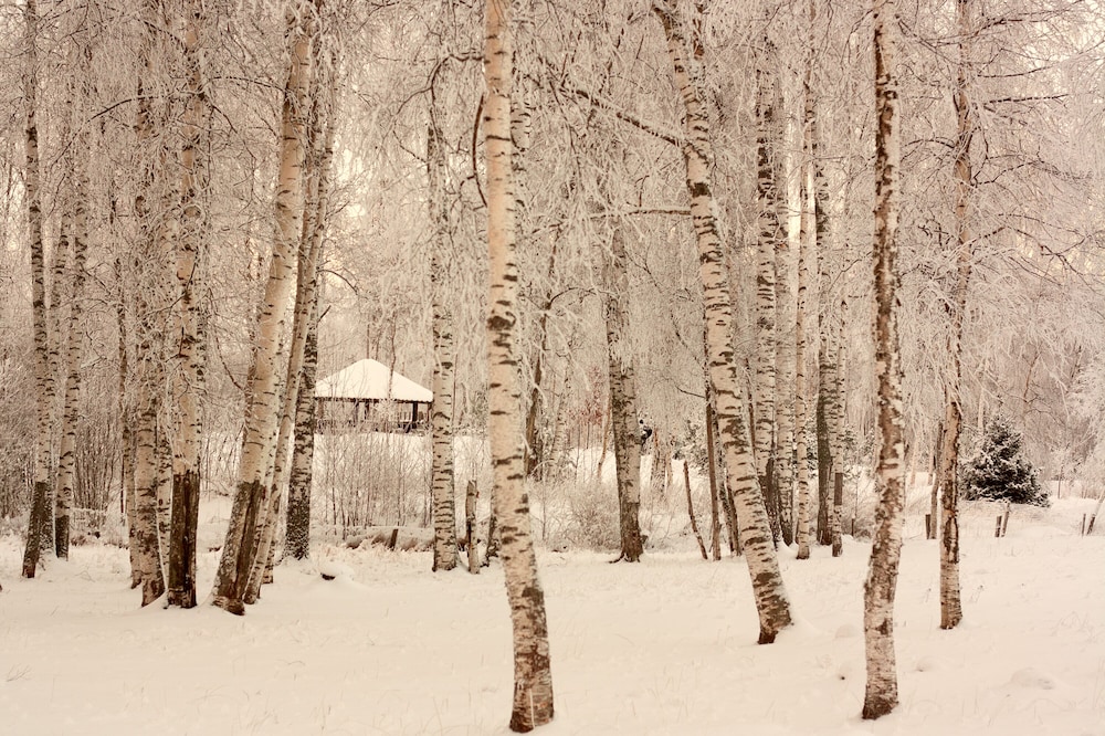 Cottage complex Ozerny Bereg