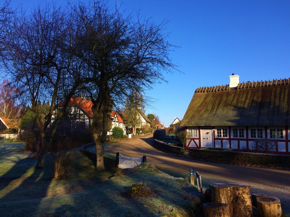 Photo 21