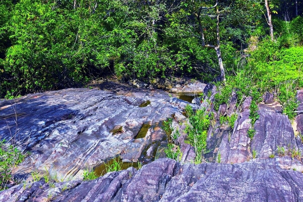 Makeliya Jungle & Waterfall Tour