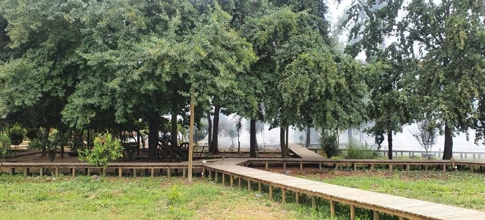 Photo 9