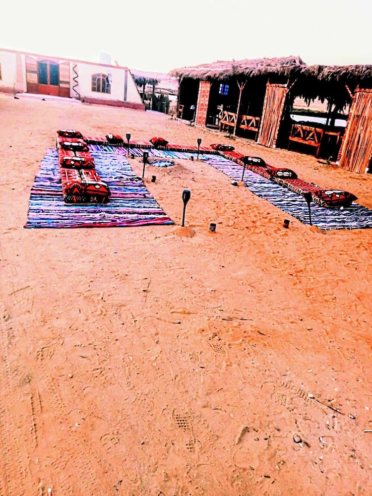 Flamingo Camp